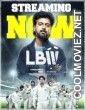 Love Beyond Wicket (2026) S01 Hindi Web Series