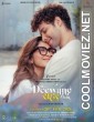 Do Deewane Seher Mein (2026) Hindi Movie
