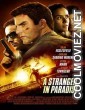 A Stranger in Paradise (2013) Hindi Dubbed Movie