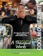 A Thousand Words (2018) Hindi Dubbed Movie