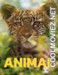 Animal (2021) Season 1