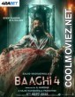 Baaghi 4 (2025) Hindi Movie