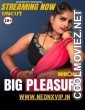 Big Pleasure (2025) NeonX Original