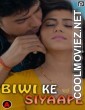 Biwi Ke Siyaape (2023) PrimeFlix Original