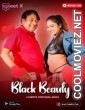 Black Beauty (2025) MeetX Hindi Short Film