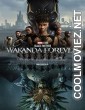 Black Panther Wakanda Forever (2022) English Movie