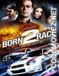 Born to Race (2012) Hindi Dubbed Movie