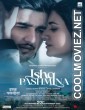 Ishq Pashmina (2022) Hindi Movie