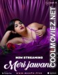 Meri Jawani (2025) MeetX Original
