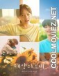 Midnight Sun (2025) Korean Hindi Dubbed