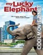 My Lucky Elephant (2013) Hindi Dubbed Movie