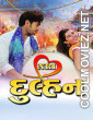 NRI Dulhan (2026) Hindi Movie