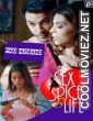 Paid Husband (2021) PrimeFlix Original