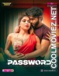Password (2025) S01 MoodX Hindi Unrated Webseries