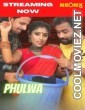 Phulwa (2022) NeonX Original