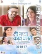 Ti Saddhya Kay Karte (2017) Marathi Movie