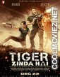 Tiger Zinda Hai (2017) Hindi Movie