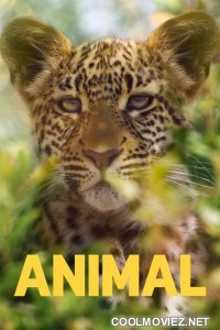 Animal (2021) Season 1