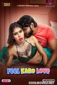 Feel Karo Love (2025) S01 MoodX Hindi Unrated Webseries