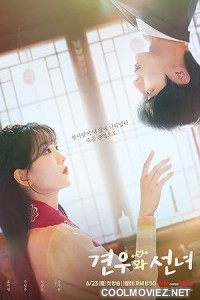 Head Over Heels (2025) Season 1 Korean Hindi Dubbed Drama Series