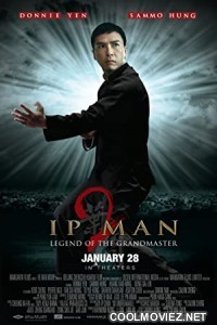 Ip Man 2 (2010) Hindi Dubbed Movie