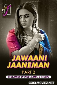 Jawaani Jaaneman (2025) Part 2 Feel Hindi Unrated Webseries