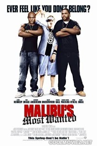 Malibus Most Wanted (2003) Hindi Dubbed Movie
