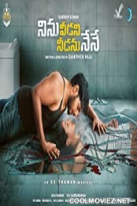 Ninnu Veedani Needanu Nene (2019) Hindi Dubbed South Movie