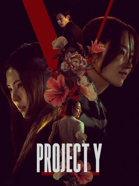 Project Y (2026) Hollywood Hindi Dubbed