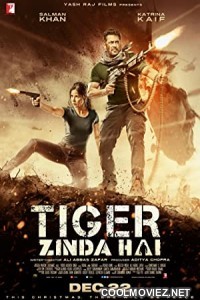 Tiger Zinda Hai (2017) Hindi Movie